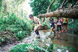 BIB: 
                            <button type="button" onclick="openModal(25477729)" class="btn btn-primary btn-sm float-right btn-popup" data-toggle="modal" data-target=".modal-high-quality">
                        <i class="fas fa-shopping-cart"></i> Add to Cart
                    </button>
                                            <button type="button" onclick="isThisMe(25477729, true)" class="btn btn-success btn-sm float-right btn-popup btn-isme hidden" data-toggle="tooltip" data-placement="bottom" title="นี่คือรูปของคุณใช่ไหม คลิกที่นี่เพื่อเอาเข้าอัลบั้ม">
                        <i class="fas fa-plus"></i> Add to album
                    </button>
                    <button type="button" onclick="isThisMe(25477729, false)" class="btn btn-warning btn-sm float-right btn-popup btn-isnotme hidden">
                        <i class="fas fa-ban"></i> Remove from album
                    </button>